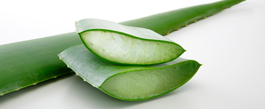 How To Use Aloe Vera For Clear, Acne-Free Skin