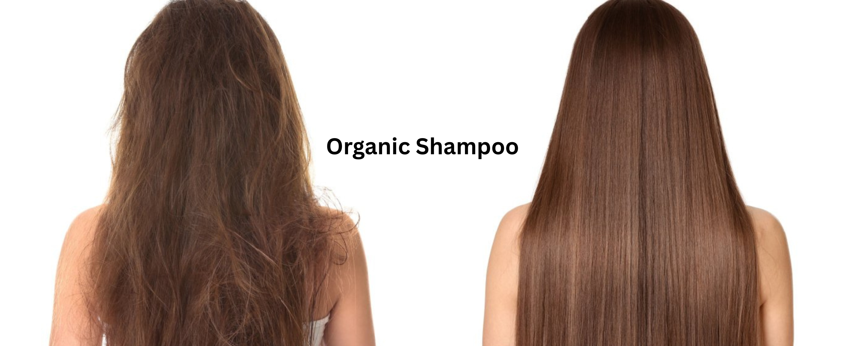 Natural Shampoo Products Without Toxic Chemicals: A Healthier Way to Care for Your Hair